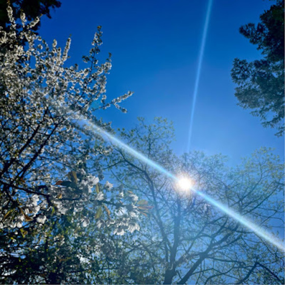 Meet your Posher, Julia - Picture 1 of 1